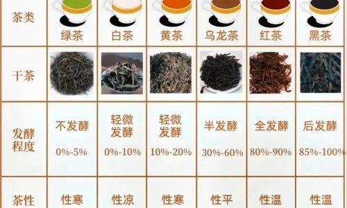 肺癌术后脑转移还能活多久-肺癌术后脑转移化疗好不好网 - 网站提供肺癌术后脑转移最长生存期小常识、肺癌术后脑转移最长生存期