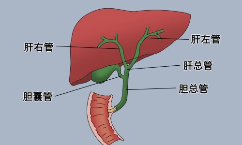 肺癌脑转移做了手术还会再次转移吗-肺癌术后脑转移化疗好不好网 - 网站提供肺癌术后脑转移最长生存期小常识、肺癌术后脑转移最长生存期